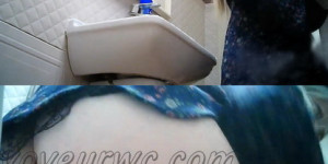 WC 2303-2306 (Hidden Camera in Female Restaurant Toilet)